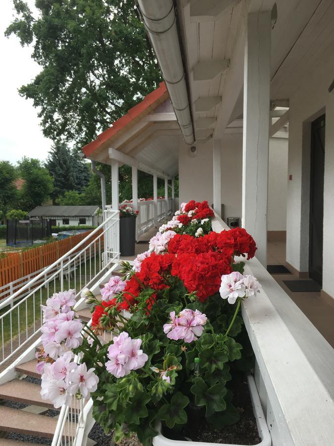 Pension Geranienhof Stahnsdorf Exterior photo